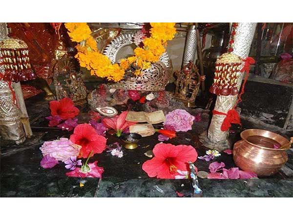 పిల్లలు పుట్టే భాగ్యం