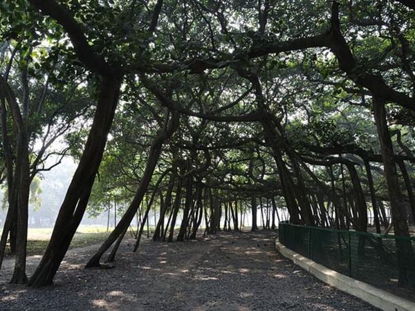 ఐదు ఎకరాలలో అద్భుతం