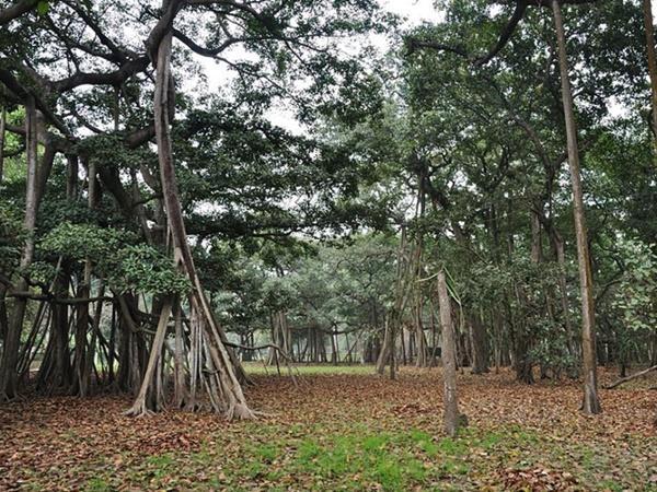 గేట్ వే ఆఫ్ ఇండియా కన్నా ఇంకా ఎక్కువ ఎత్తులో ఉంది