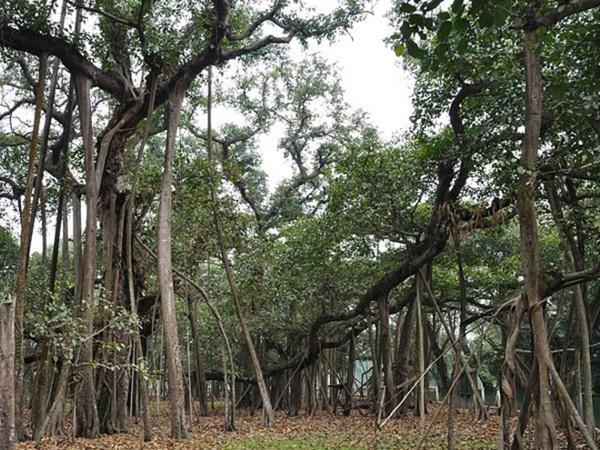 ఎలా చేరాలి