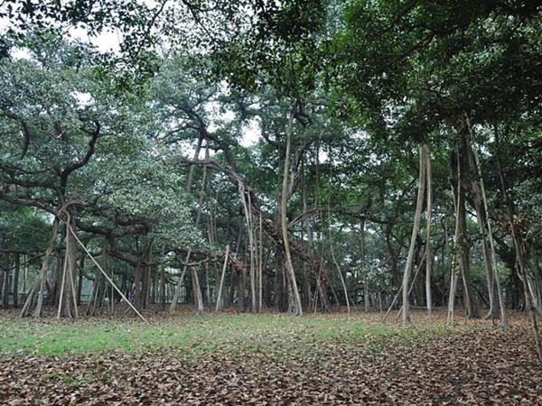 మనం ఇక్కడ చిత్రాల ద్వారా తెలుసుకుందాం