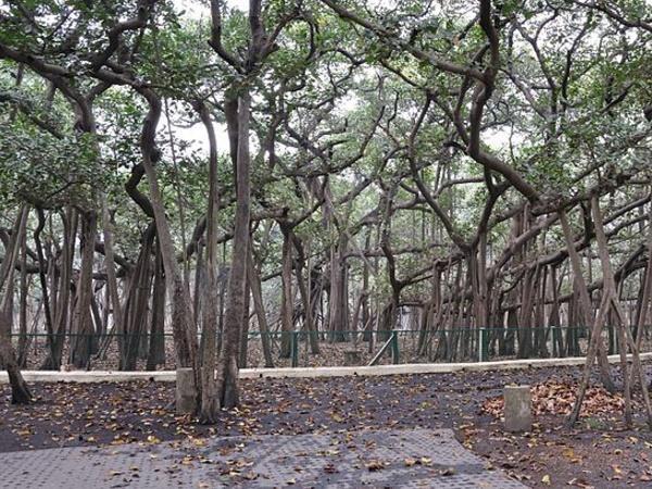 మనం ఇక్కడ చిత్రాల ద్వారా తెలుసుకుందాం