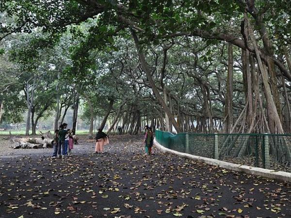 మనం ఇక్కడ చిత్రాల ద్వారా తెలుసుకుందాం