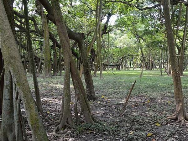 మనం ఇక్కడ చిత్రాల ద్వారా తెలుసుకుందాం