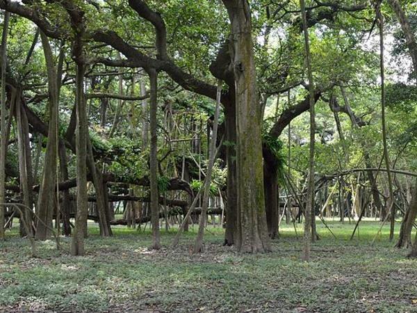 మనం ఇక్కడ చిత్రాల ద్వారా తెలుసుకుందాం