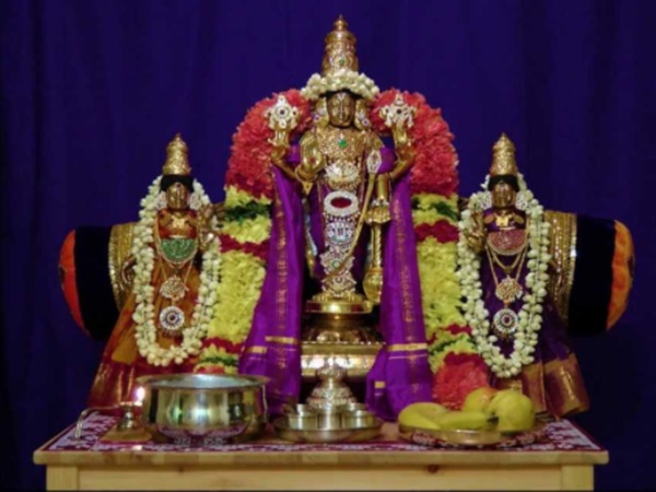 బంగారు జింకలు తిరిగే ప్రదేశం మన మధ్యే !