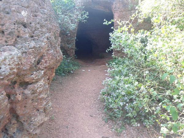 నివాసము