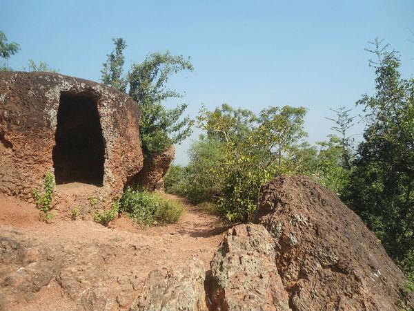 జీవ వైవిధ్యం