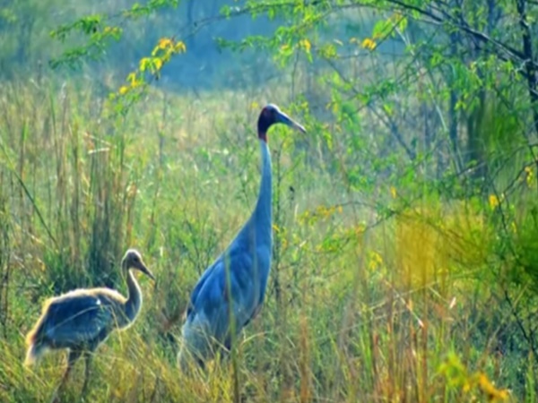 ఆ 8గ్రామాల్లో దీపావళిని ఎలా జరుపుకుంటారో తెలుసా?