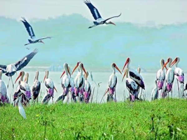 ఆ 8గ్రామాల్లో దీపావళిని ఎలా జరుపుకుంటారో తెలుసా?