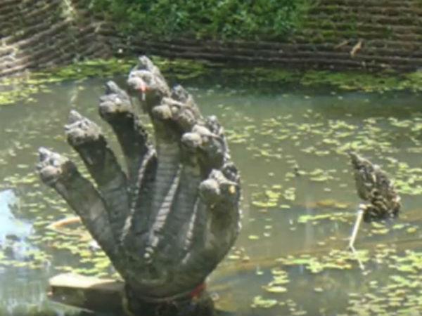 ఉజ్జయిని దేవాలయం