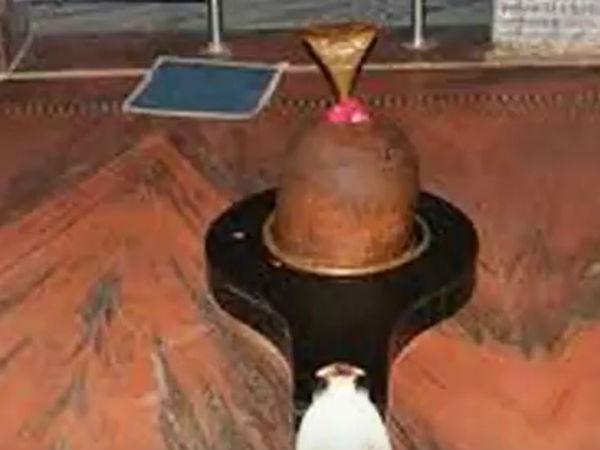 అచలేశ్వర్ మహదేవ్ ఆలయం