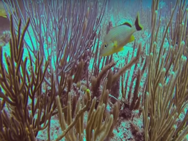 భీమ్ కుండ్ మిస్టరీ !