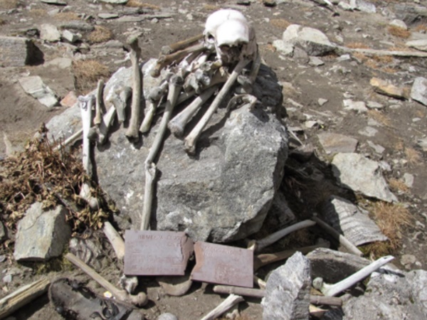 తవ్వుతుంటే బయటకొస్తున్న అస్థిపంజరాలు ! వాటి వెనుక రహస్యం !