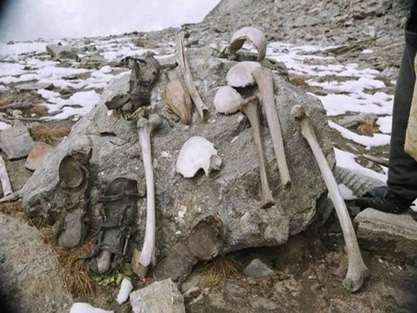 తవ్వుతుంటే బయటకొస్తున్న అస్థిపంజరాలు ! వాటి వెనుక రహస్యం !