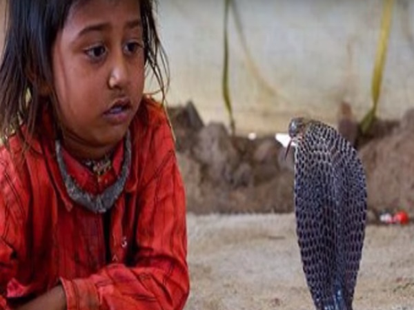 షోలాపూర్