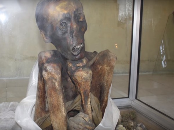 మిస్టరీమమ్మీ