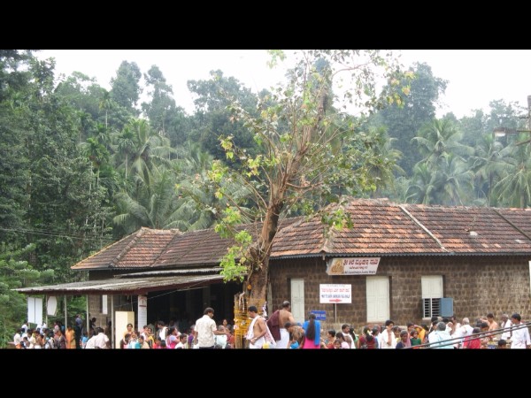 నాగ దోష పరిహారం గుడి !