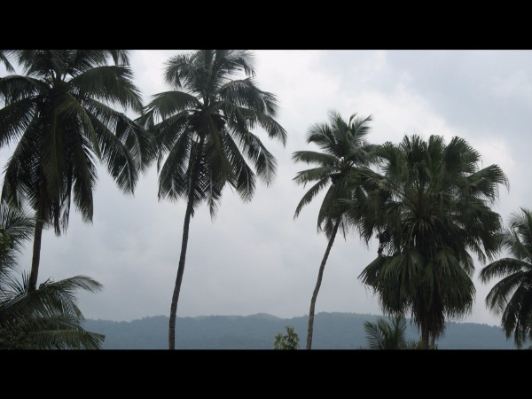 నాగ దోష పరిహారం గుడి !