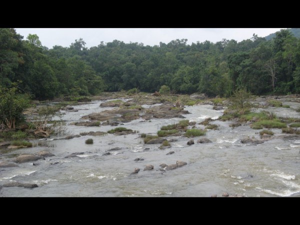 నాగ దోష పరిహారం గుడి !
