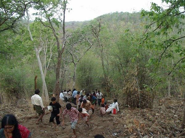 సలేశ్వరం ఎలా చేరుకోవాలి ?