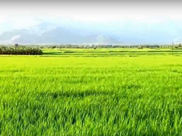 అమరేశ్వర దేవాలయం