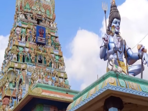 ఉసిరి చెట్టు మూలంలో వెలసిన శివలింగం గురించి మీకు తెలుసా?