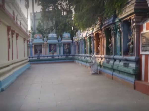 ఉసిరి చెట్టు మూలంలో వెలసిన శివలింగం గురించి మీకు తెలుసా?