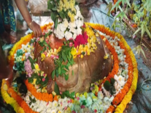 ఉసిరి చెట్టు మూలంలో వెలసిన శివలింగం గురించి మీకు తెలుసా?