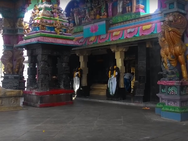 ఉసిరి చెట్టు మూలంలో వెలసిన శివలింగం గురించి మీకు తెలుసా?