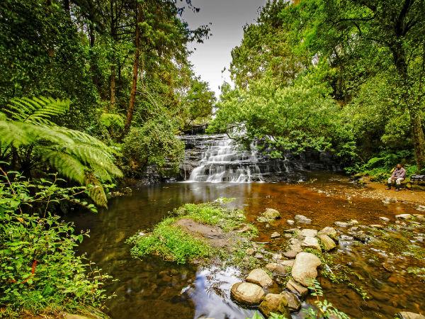 బేర్ షోల జలపాతాలు