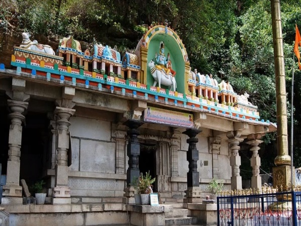 నల్లమల అడవులలో బయటపడిన పురాతన నగరం రహస్యాలు !