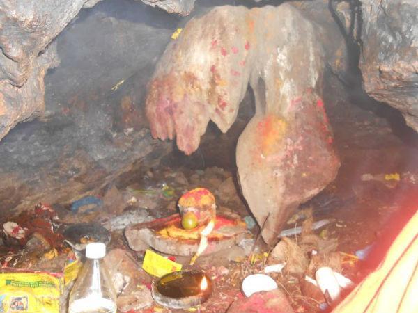 నల్లమల అడవులలో బయటపడిన పురాతన నగరం రహస్యాలు !