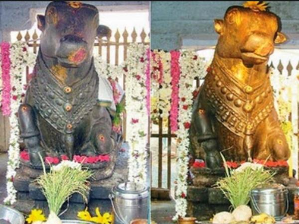 సంవత్సరానికి ఒకసారి బంగారు రంగులో మారే నంది! బయట పడిన సీక్రెట్స్!