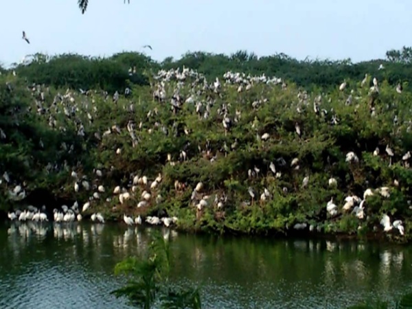 గుంటూరులో ధరణికోట సామ్రాజ్యపు నిజా నిజాలు..!