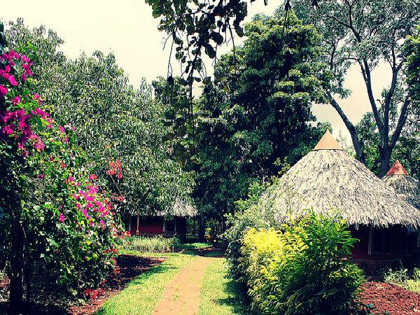 బెంగళూరు లో ఇటువంటి ప్రదేశాన్ని చూసారా ?