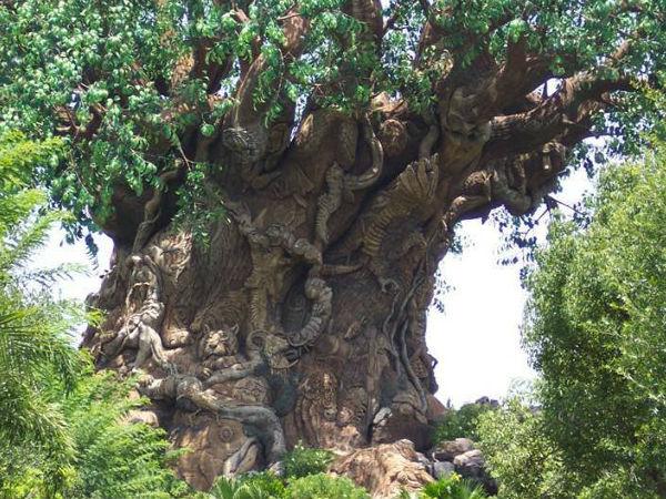 మిస్టరీల చెట్టు దృశ్యాలలో ..! 