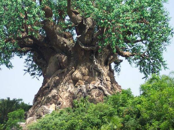 మిస్టరీల చెట్టు దృశ్యాలలో ..! 