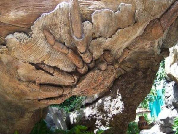 మిస్టరీల చెట్టు దృశ్యాలలో ..! 