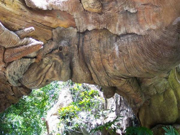 మిస్టరీల చెట్టు దృశ్యాలలో ..! 