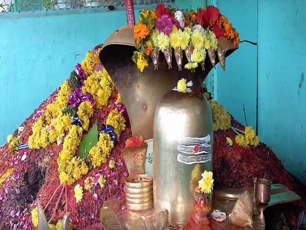 పుట్టలో సర్పరూపంలో వెలసిన శ్రీసుబ్రహ్మణ్యేశ్వర స్వామి ఆలయ రహస్యాలు !