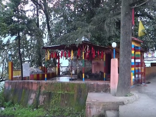 ఆ చెట్టుకి ఉన్న గొప్పదనం తెలిస్తే ఆశ్చర్యపోతారు?