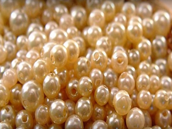 భద్రాచలం గురించి నమ్మలేని నిజాలు !