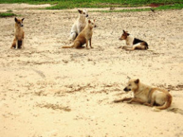 వాతావరణం