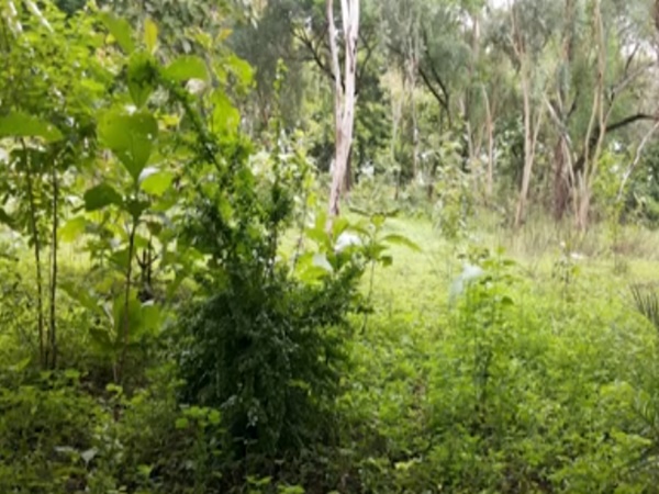 చప్పట్లు కొడితే నీరు వచ్చే వింత ప్రదేశం ఎక్కడవుందో తెలుసా?