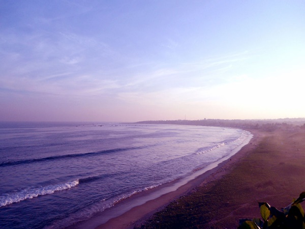 బయటపడిన విశాఖపట్నం వింతజీవుల రహస్యం !