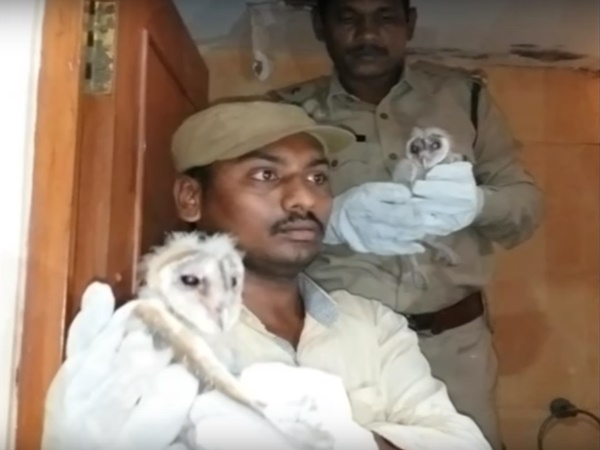 బయటపడిన విశాఖపట్నం వింతజీవుల రహస్యం !