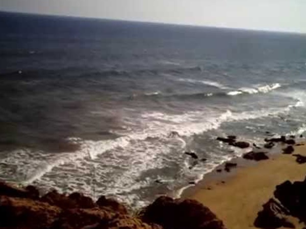 బయటపడిన విశాఖపట్నం వింతజీవుల రహస్యం !