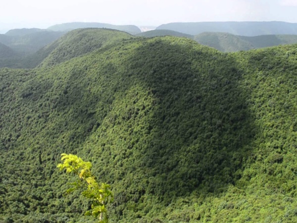 బయటపడిన విశాఖపట్నం వింతజీవుల రహస్యం !