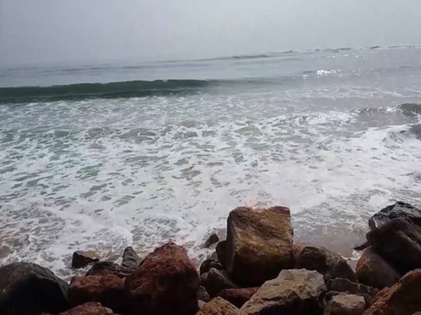 బయటపడిన విశాఖపట్నం వింతజీవుల రహస్యం !